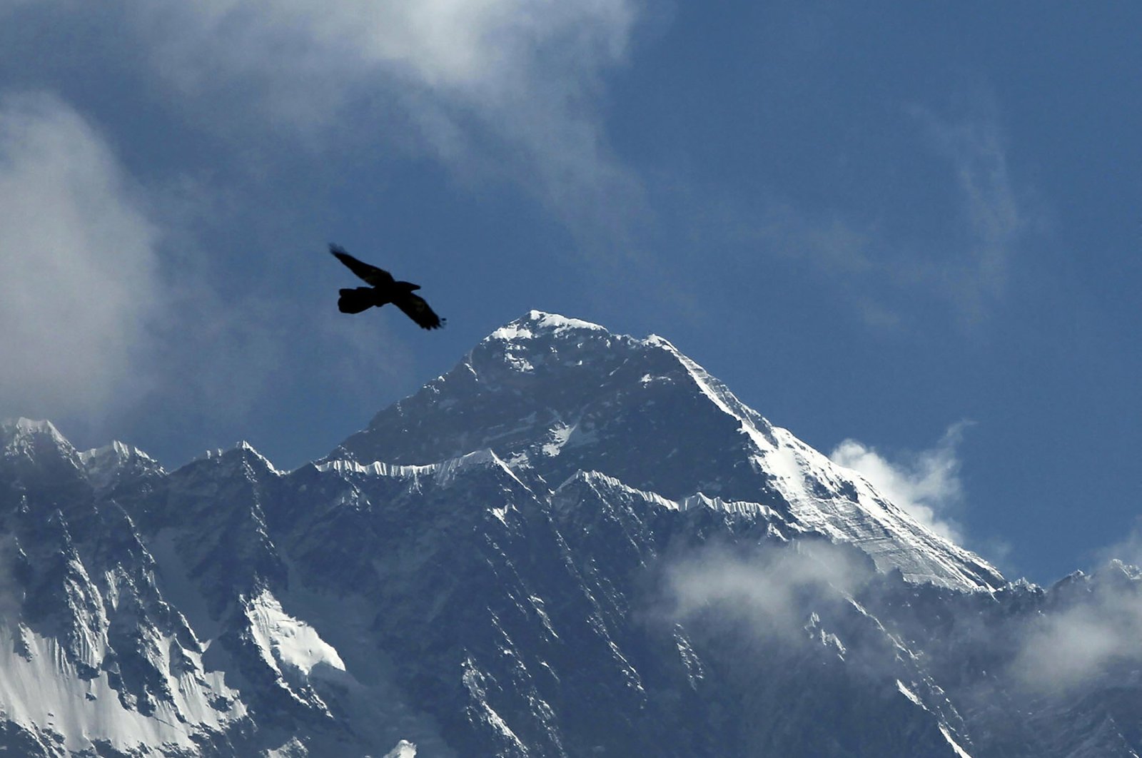 A bird flies with Mount Everest seen in the background from Namche Bajar, Solukhumbu district, Nepal, May 27, 2019. (AP Photo)