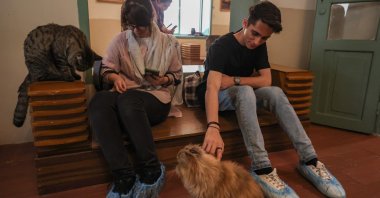 People visit the "meowseum," a privately funded cat museum and cafe, in Tehran, Iran, May 30, 2023. (AFP Photo)