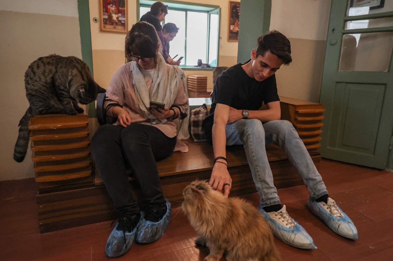 People visit the &quot;meowseum,&quot; a privately funded cat museum and cafe, in Tehran, Iran, May 30, 2023. (AFP Photo)