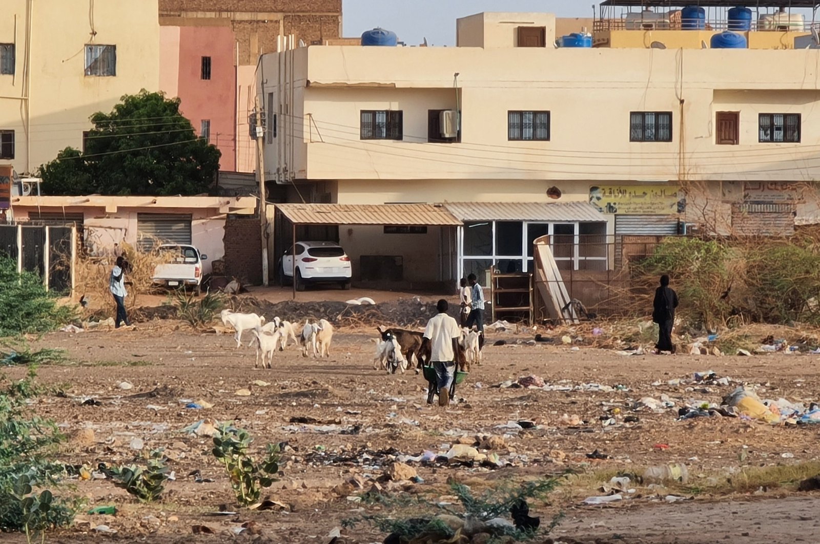 A man herds goats in a southern Khartoum neighborhood, as fighting persists between two rival generals, Sudan, June 3, 2023. (AFP Photo)