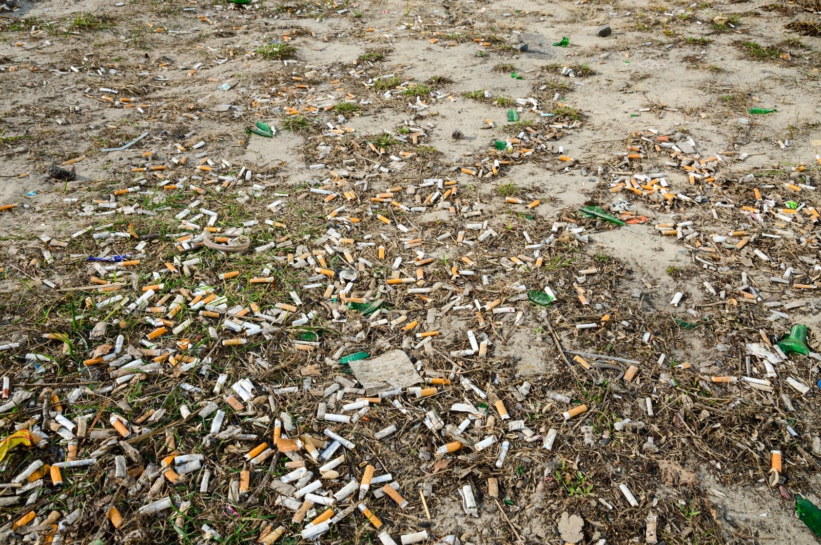 Cigarette butts are seen on the ground, June 05, 2023. (Shutterstock Photo)