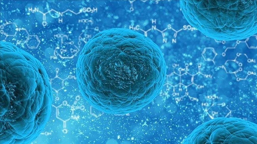 &quot;In addition to stem cell transplantation, Türkiye has emerged as a leading destination for cancer treatment worldwide,&quot; Altinbaş said. (AA Photo)