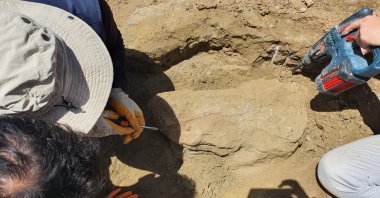 Teams affiliated with the Turkish Mineral Research and Exploration General Directorate discovered estimated to be 28 million years old rhinoceros fossils, Çankırı, Türkiye, May 5, 2023. (AA Photo)