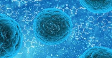 "In addition to stem cell transplantation, Türkiye has emerged as a leading destination for cancer treatment worldwide," Altinbaş said. (AA Photo)