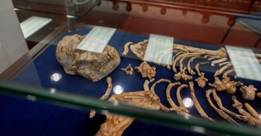 Bones of an Australopithecus Africanus in a shrine at the Center for Exploration of the Deep Human Journey, Wits University, in Johannesburg, South Africa, May 11, 2023. (AFP Photo)