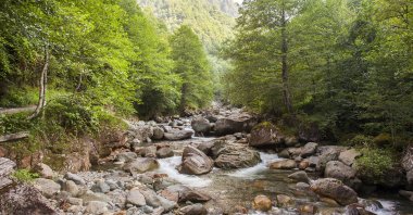 Türkiye houses some top environment, sustainability and outdoor enthusiasts. (Shutterstock Photo)