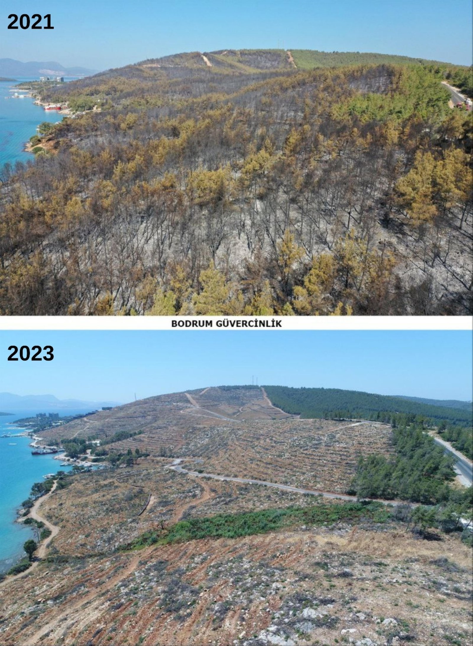 Gambar tersebut menunjukkan perbandingan antara luas yang rusak akibat kebakaran hutan pada tahun 2021 dan hutan yang pulih pada tahun 2023. (Foto AA)