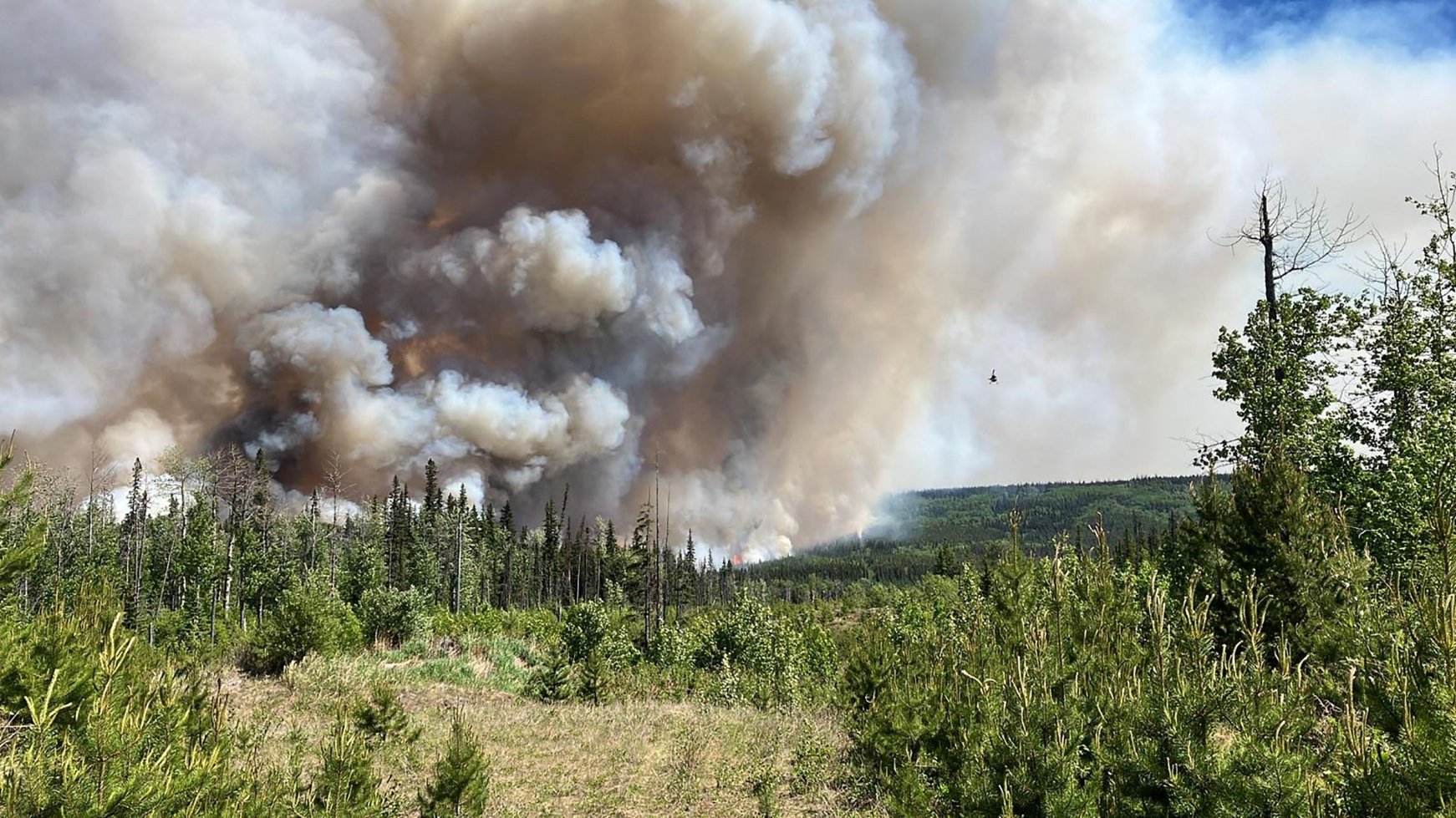 Apocalyptic wildfires in Canada devastate millions | Daily Sabah