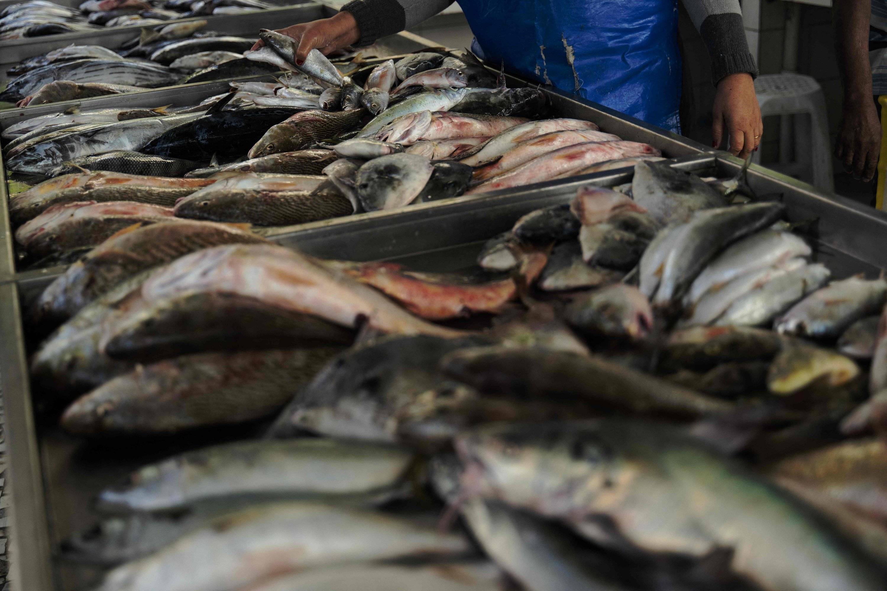 Hasil tangkapan nelayan dipajang untuk dijual di tepi Pantai Copacabana di Rio de Janeiro, Brasil, 23 Mei 2023. (Foto AFP)