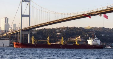 Zante, a cargo vessel carrying Ukrainian grain, transits the Bosporus, in Istanbul, Türkiye, Nov. 2, 2022. (Reuters Photo)