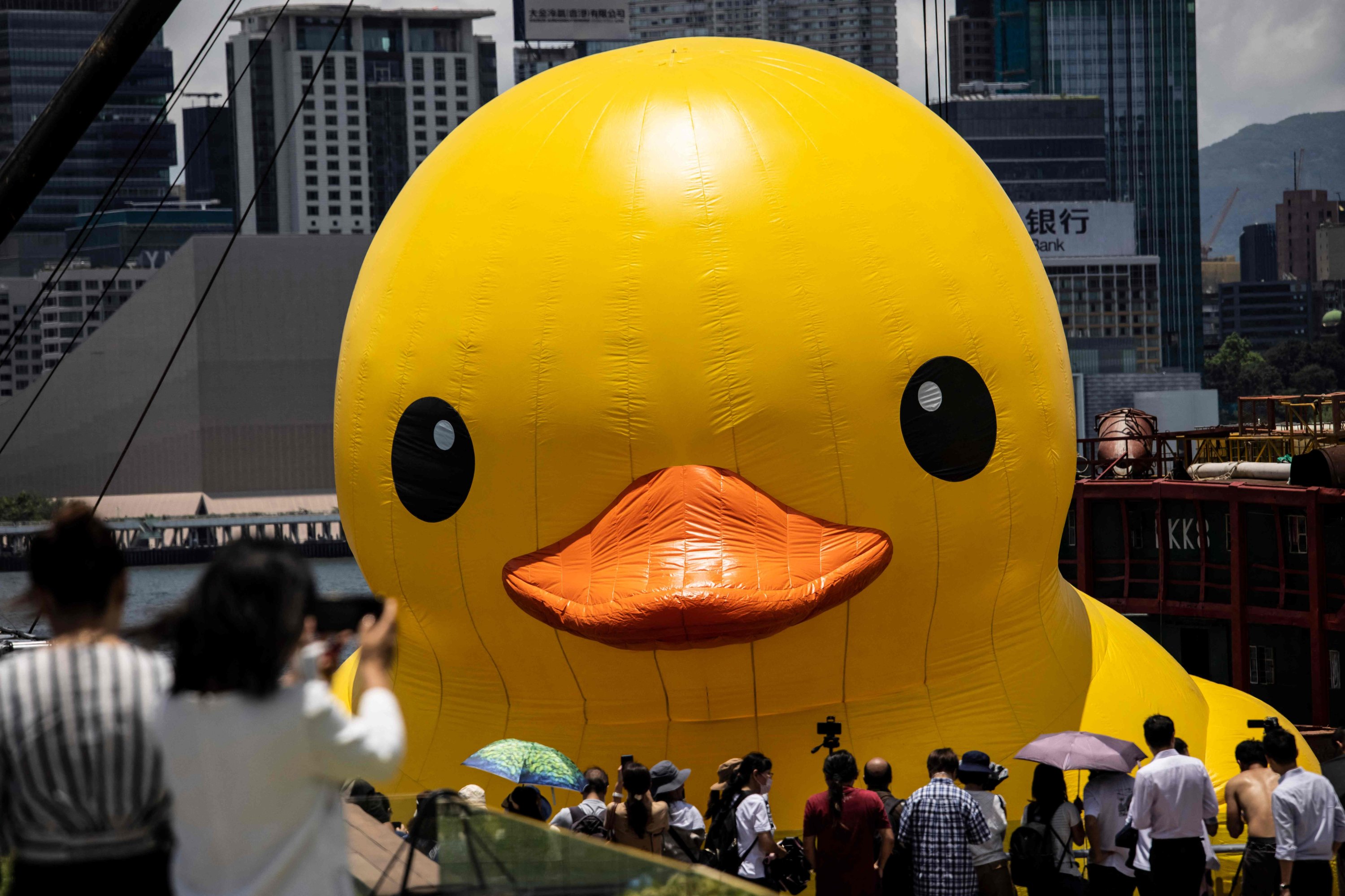Orang-orang mengambil foto saat salah satu dari dua bebek kuning besar mengempis, Pelabuhan Victoria di Hong Kong, China, 10 Juni 2023. (Foto AFP)