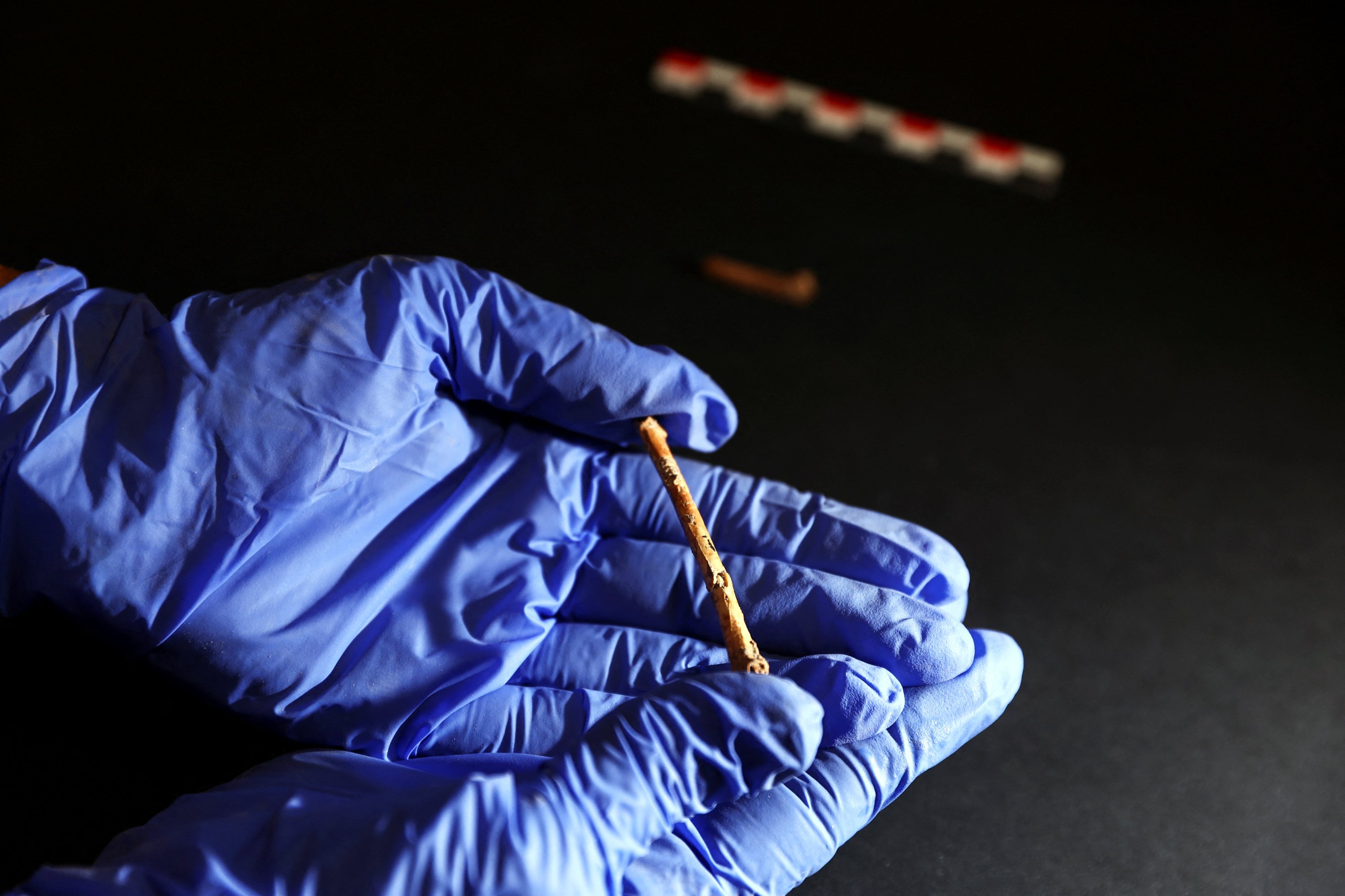 Seorang peneliti memegang seruling miniatur, yang diyakini para ilmuwan dibuat 12.000 tahun lalu dari tulang burung dan mungkin telah digunakan untuk panggilan burung, di Universitas Ibrani Yerusalem, Yerusalem Barat, Israel, 11 Juni 2023. (Foto Reuters)