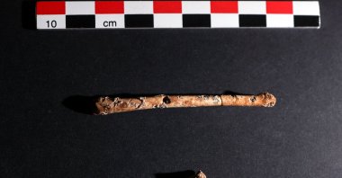 Miniature flutes, which scientists believe were crafted 12,000 years ago from bird bones and may have been used for bird calls, are displayed at the Hebrew University of Jerusalem, West Jerusalem, Israel, June 11, 2023. (Reuters Photo)