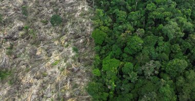FILE PHOTO: An aerial view of a deforested area during an operation to combat deforestation near Uruara, Para State, Brazil January 21, 2023. (REUTERS/Ueslei Marcelino/File Photo)