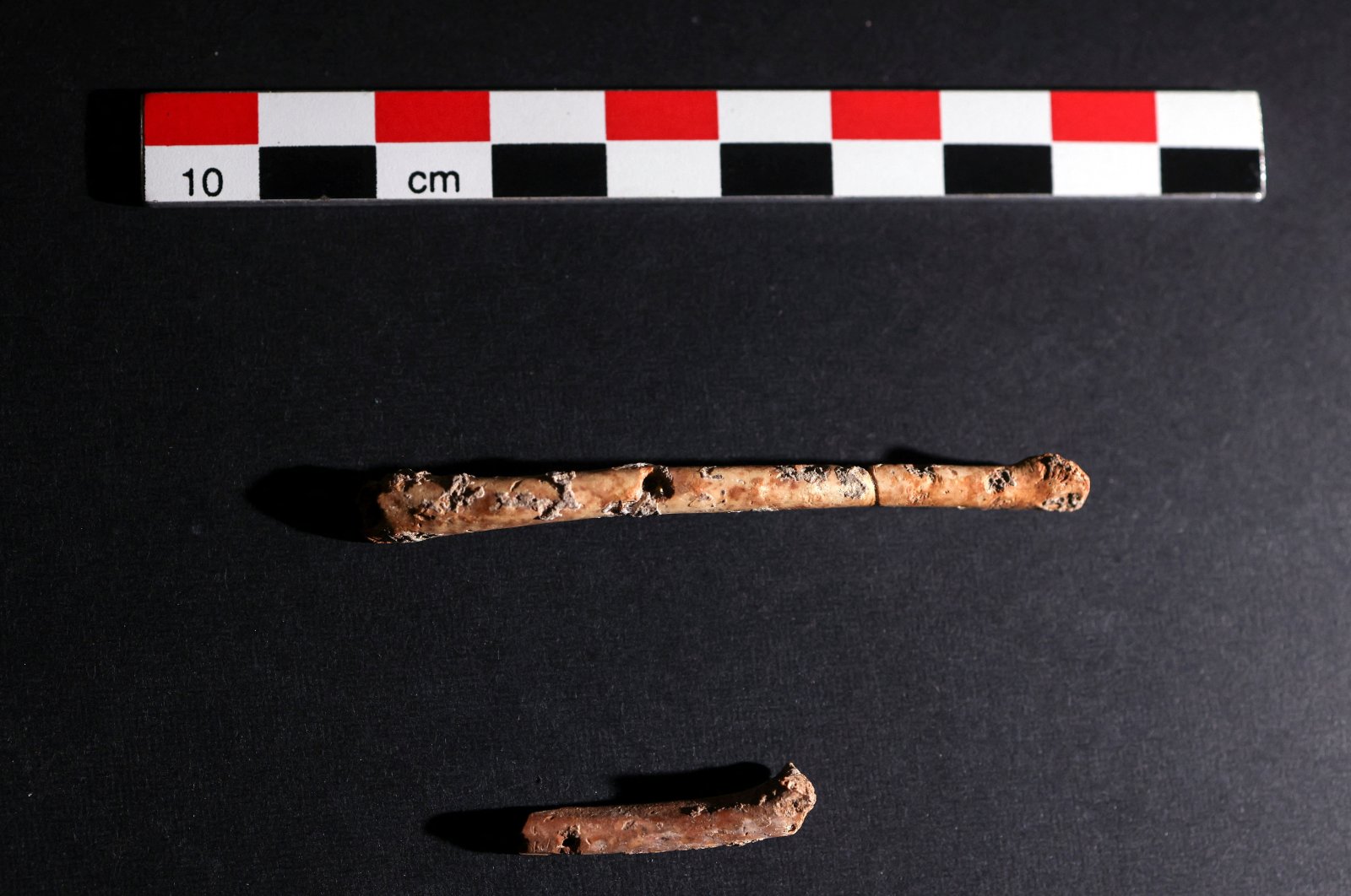 Seruling tulang burung berusia 12 ribu tahun yang ditemukan di Israel menandakan hubungan manusia dan hewan