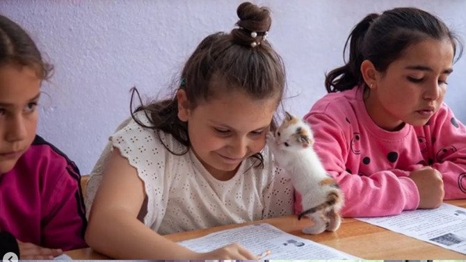 Anak kucing kecil berbulu memanjat bahu seorang siswa sekolah dasar di Çorum, Türkiye, 14 Juni 2023. (Foto AA)