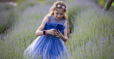 A visitor clicking photos in the lavender garden Sakarya, Türkiye, June 14, 2023. (AA Photo) 