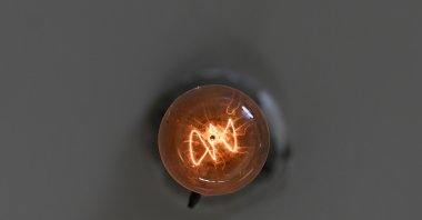 The Centennial Light, known as the &quot;World&#039;s Longest-Lasting Light Bulb,&quot; has been continuously burning since 1901 at Fire Station No. 6 in Livermore, California, U.S., June 9, 2023. (AA Photo)
