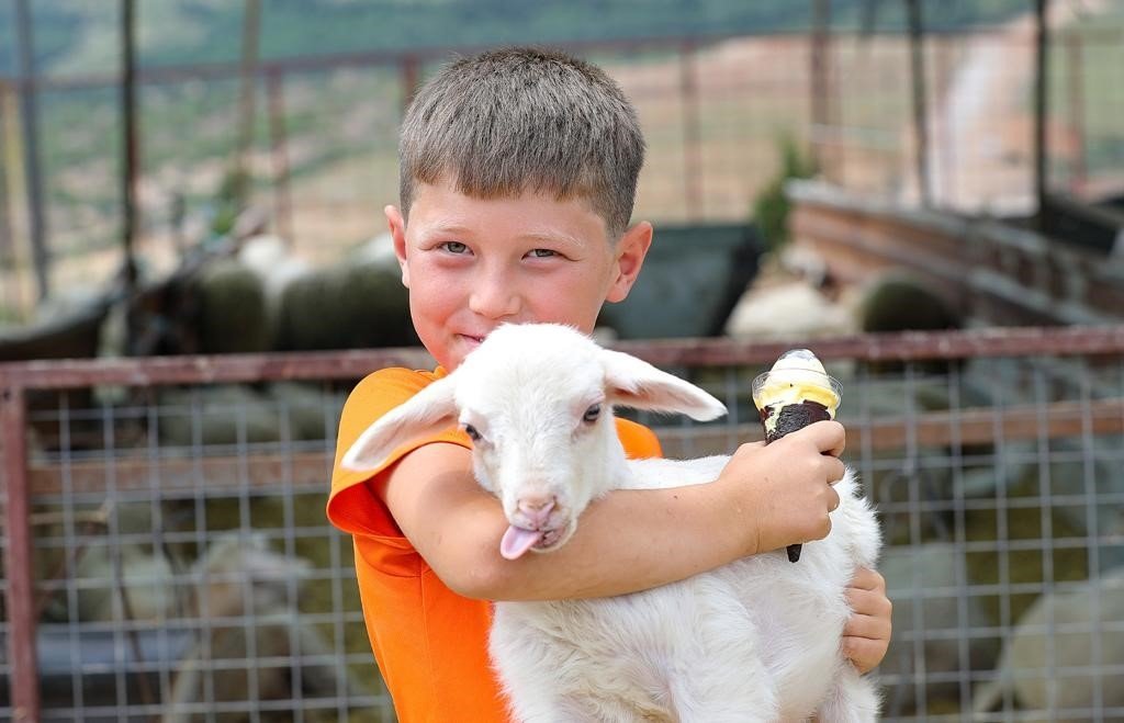 A child holds a lamb in Izmir, Türkiye, June 18, 2023. (IHA Photo)