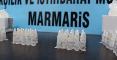 A general view of glass tubes filled with tarantula hatchlings seized by customs in Marmaris, Muğla, southwestern Türkiye, June 18, 2023. (DHA Photo)
