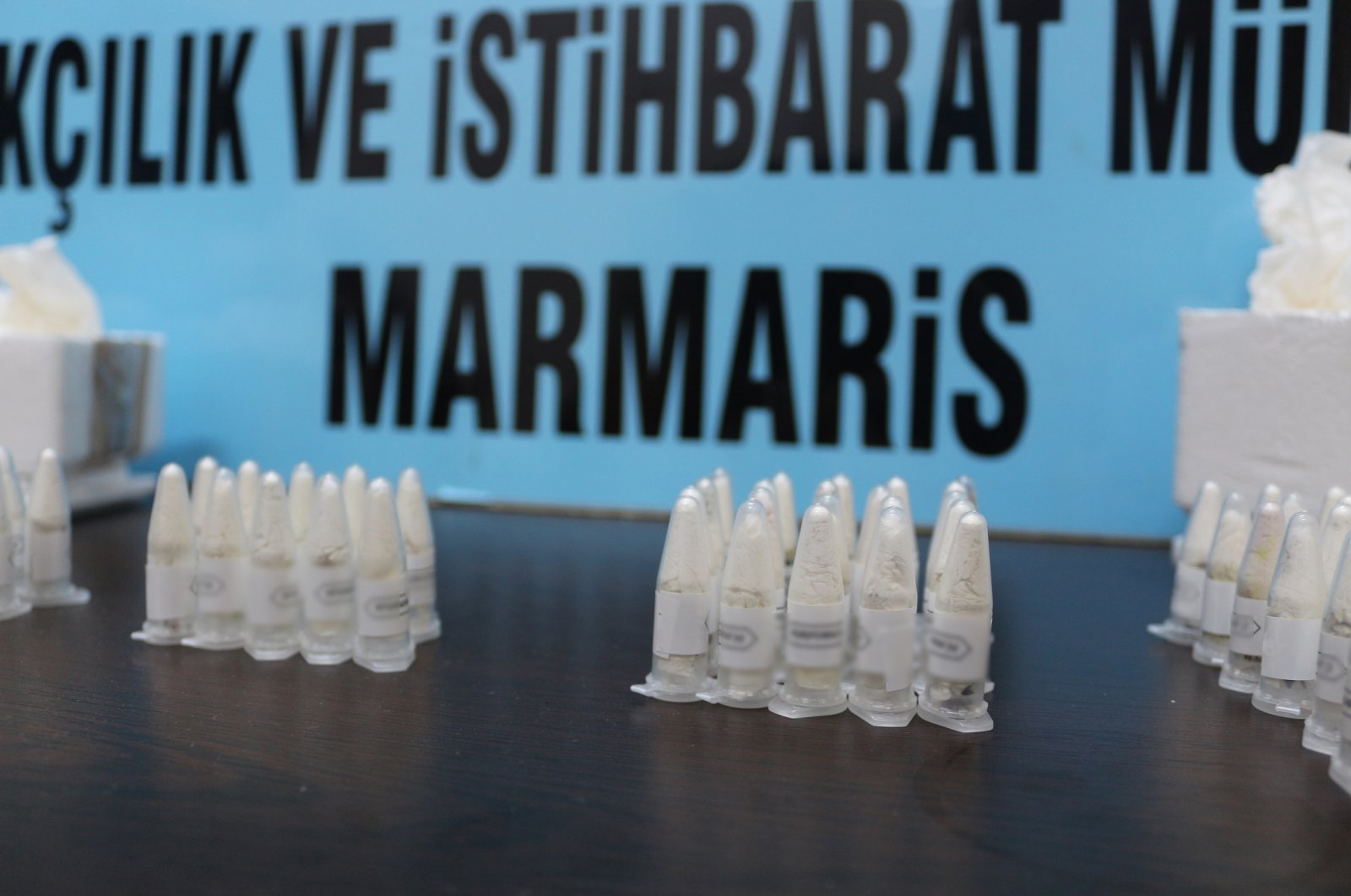 A general view of glass tubes filled with tarantula hatchlings seized by customs in Marmaris, Muğla, southwestern Türkiye, June 18, 2023. (DHA Photo)