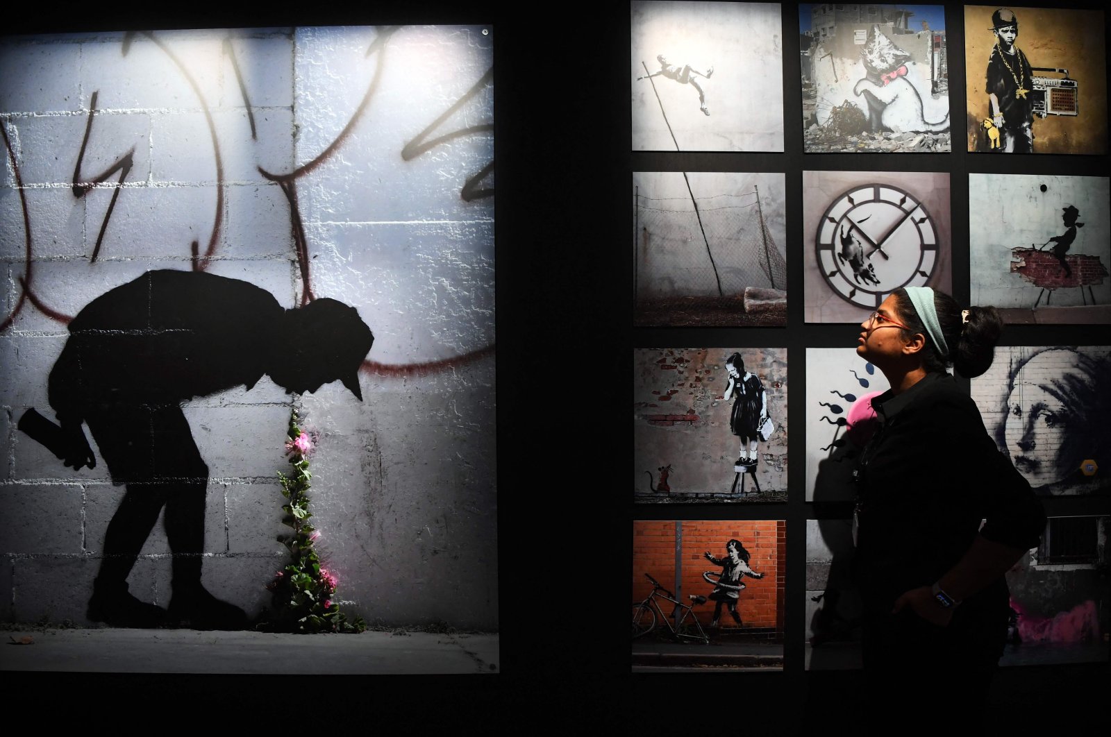 A visitor looks at a painting depicting a graffiti artist vomiting flowers made by British artist Banksy displayed during his solo show &quot;CUT &amp; RUN: 25 years card labour&quot; at the entrance of The Gallery Of Modern Art (GOMA), Glasgow, Scotland, June 15, 2023. (AFP Photo)