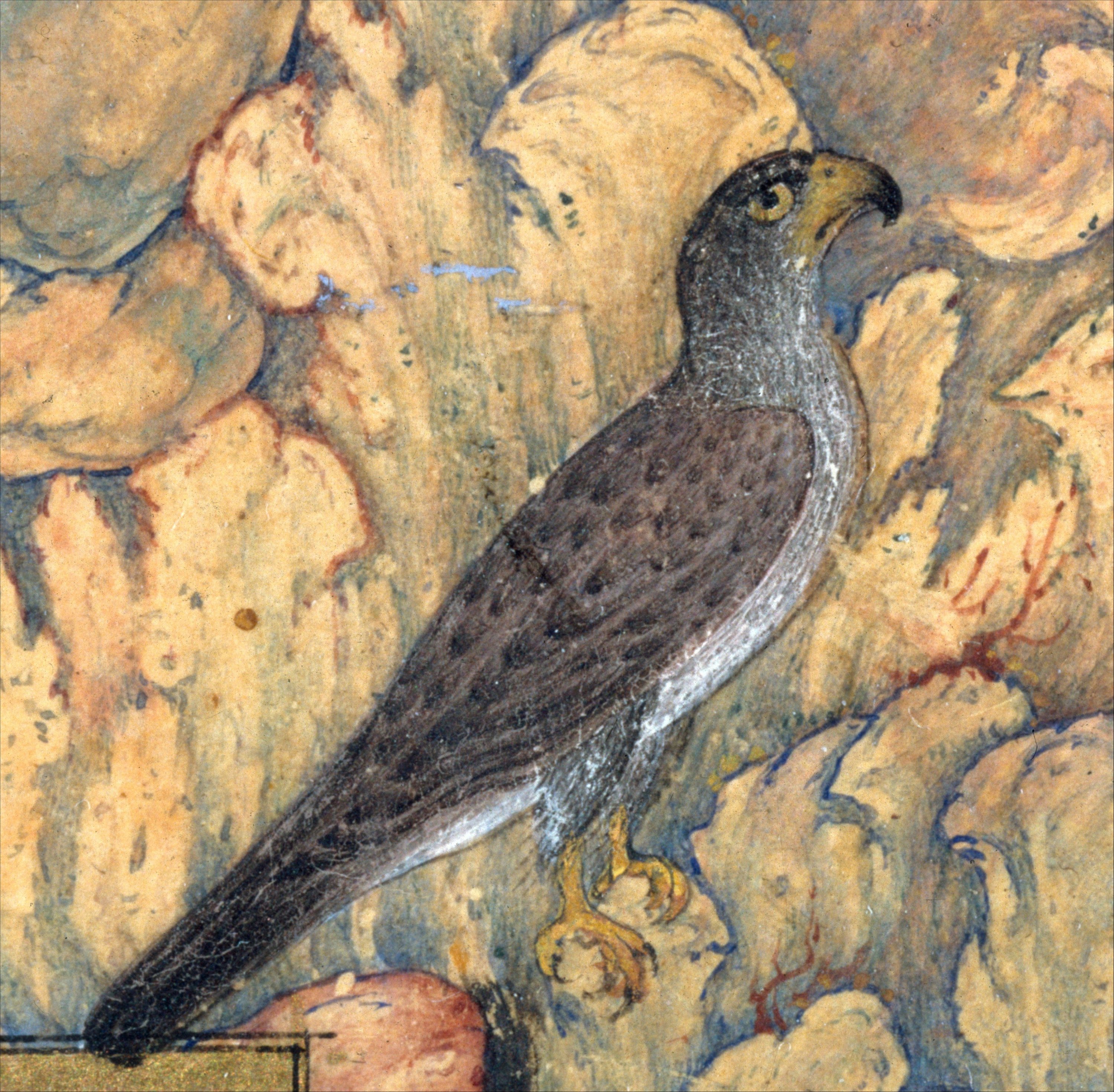 'The Concourse of the Birds,' Folio 11r dari 'The Conference of Birds.'  (Foto milik The Met Museum)