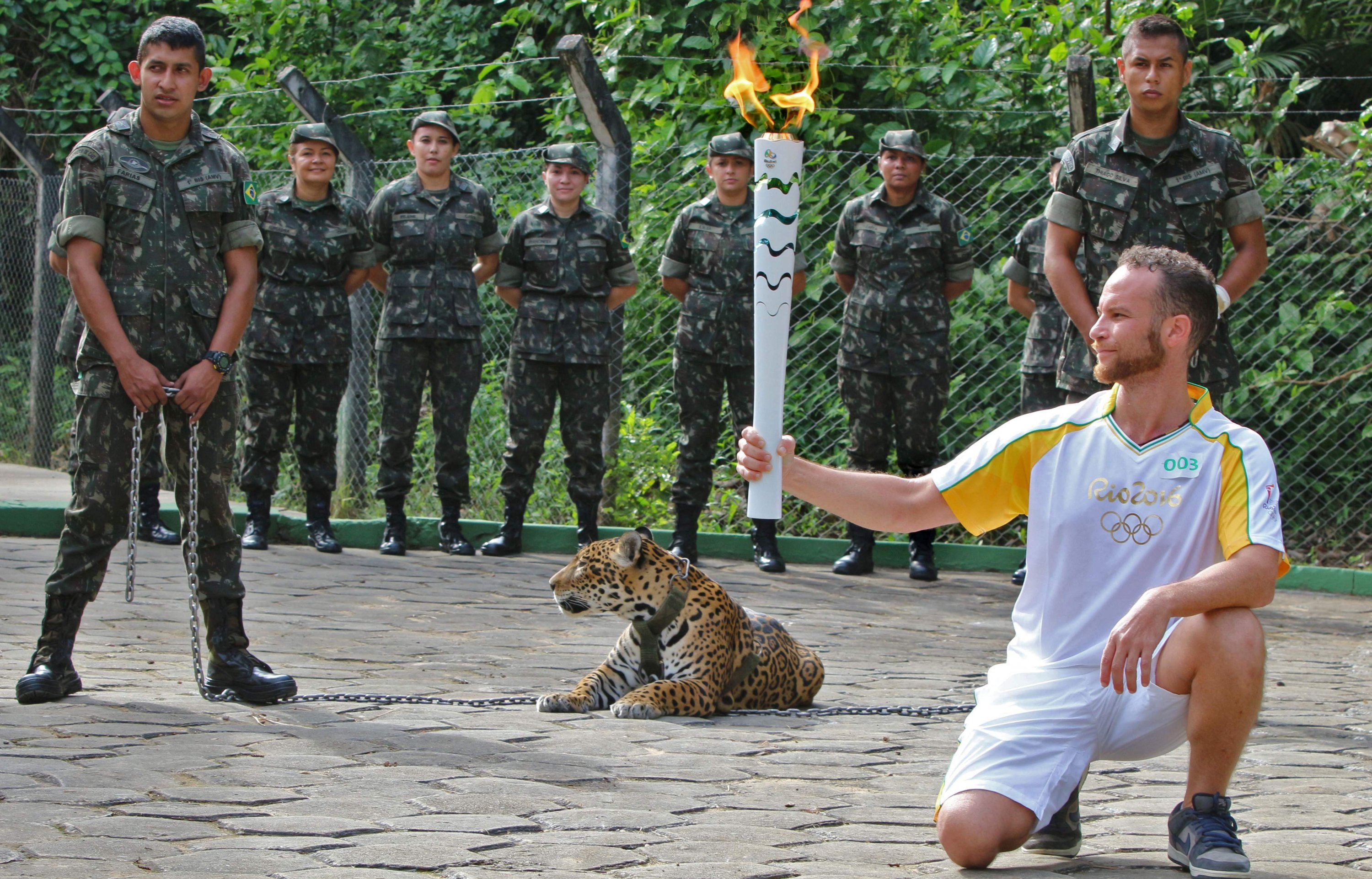 Seorang atlet memegang Obor Olimpiade dengan seekor jaguar – simbol Amazonia – dalam sebuah upacara, Manaus, Brasil, 20 Juni 2016. (AFP Photo)