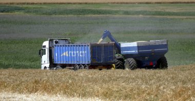  Ukrainian farmers harvest grain in the Odesa region, south Ukraine, 23 June 2023. (EPA Photo)