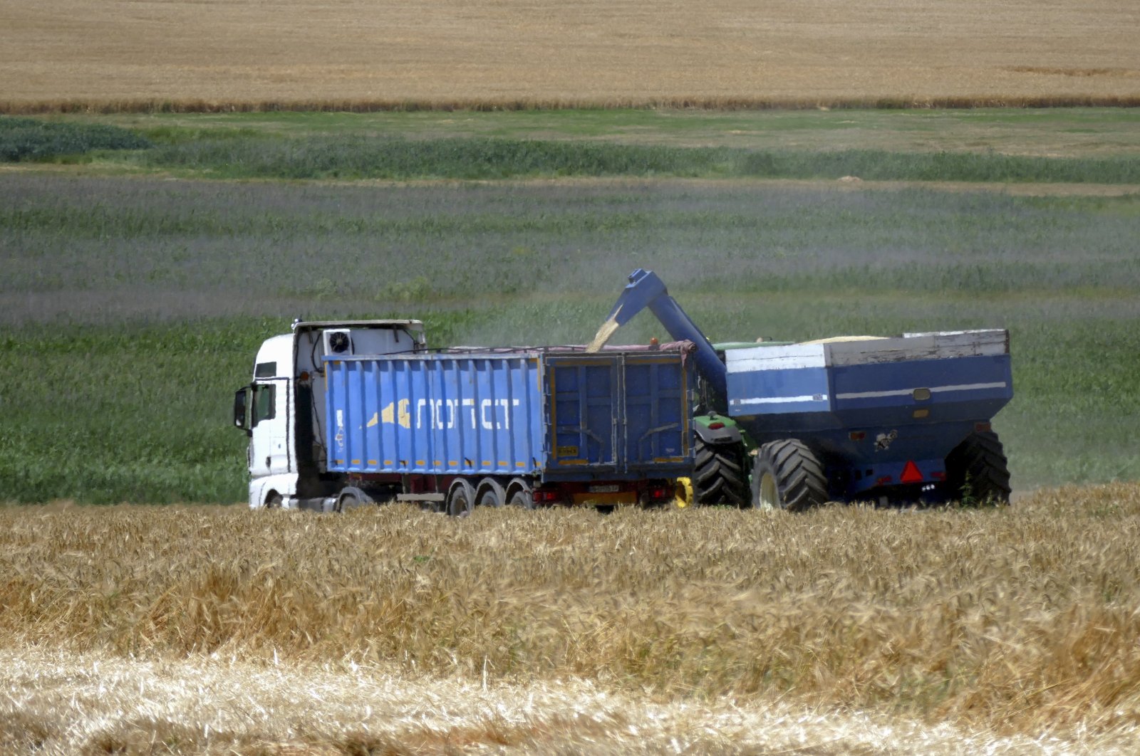  Ukrainian farmers harvest grain in the Odesa region, south Ukraine, 23 June 2023. (EPA Photo)