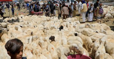 A farmer waits for customers at a livestock market in Sanaa on June 25, 2023, ahead of Muslim festival of Eid Al-Adha, the Feast of Sacrifice. (Photo by MOHAMMED HUWAIS / AFP)