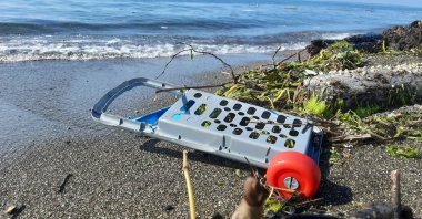 Accumulated waste off the coast in Black Sea, Türkiye, June 27, 2023. (DHA Photo)
