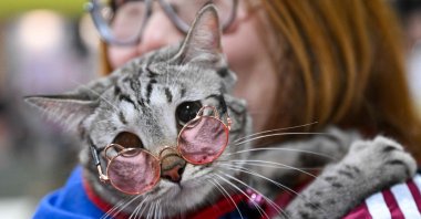 A visitor carries a cat wearing sunglasses during the Pet Exhibition in Kuala Lumpur, Malaysia, June 23, 2023. (AFP Photo)