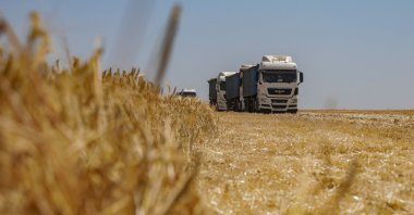 Trucks loaded with barley grain are seen in a field during harvesting, amid Russia's attack on Ukraine, Odessa region, Ukraine, June 23, 2023. (Reuters Photo)