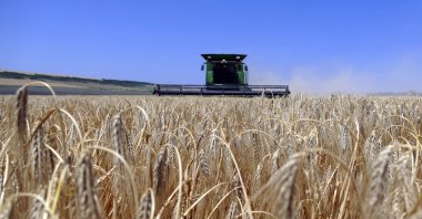 Ukrainian farmers harvest grain in the Odesa region, south Ukraine, June 23, 2023. (EPA File Photo)