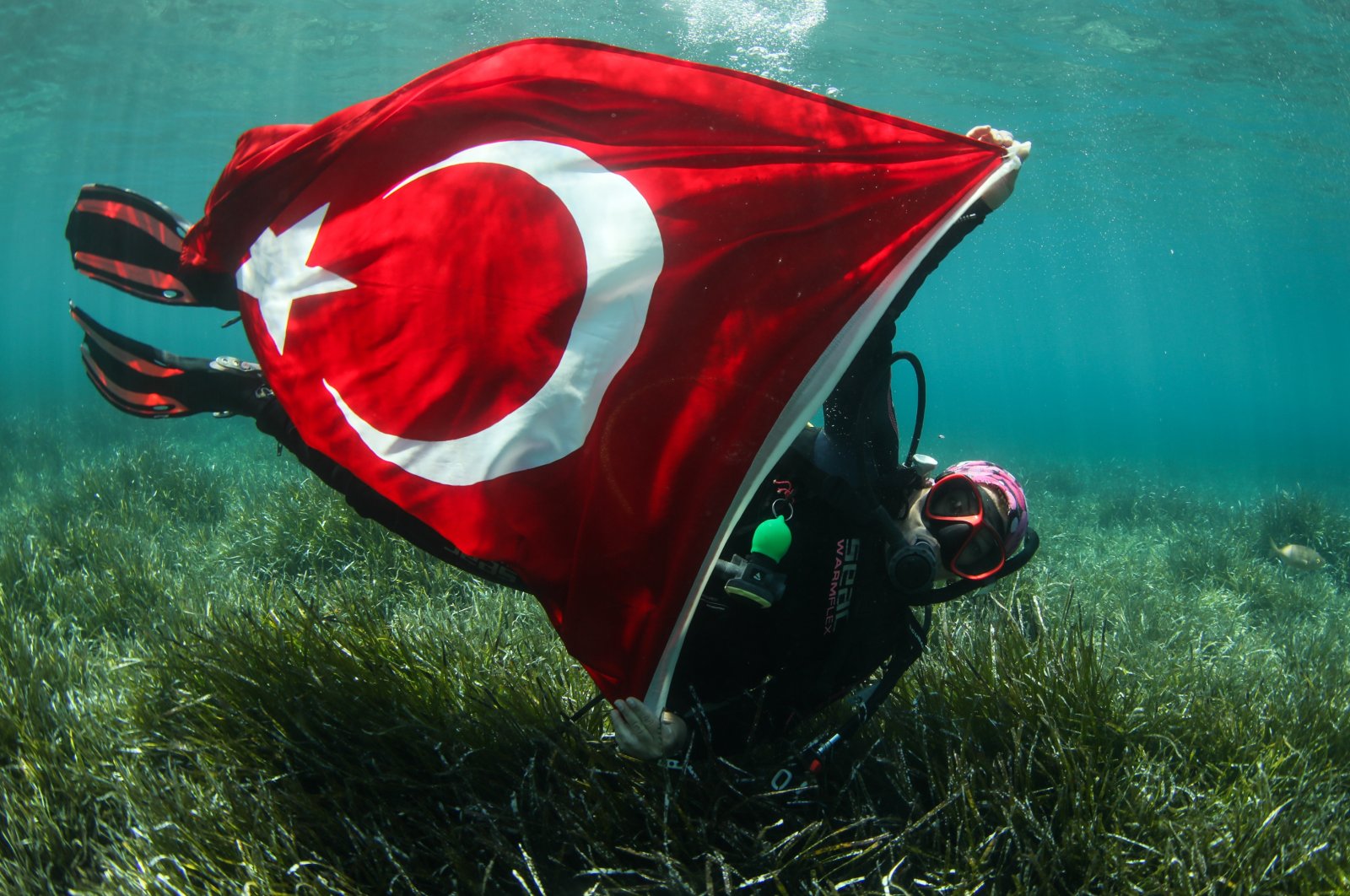 Türkiye’s rich underwater treasures gain int’l recognition