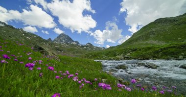 The national park situated within Kaçkar Mountain, one of the highest plateaus in Türkiye, welcomed thousands of visitors during the Eid holiday, Rize, northern Türkiye, July 3, 2023. (AA Photo)