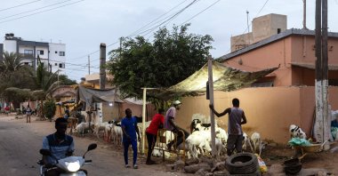 Senegalese sheep herders watch over their herd for sale in Dakar, Senegal, June 19, 2023. (EPA Photo)