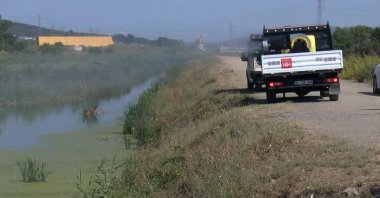A pickup truck of the municipality sprays mosquito repellent, Istanbul, Türkiye, July 4, 2023. (DHA Photo)