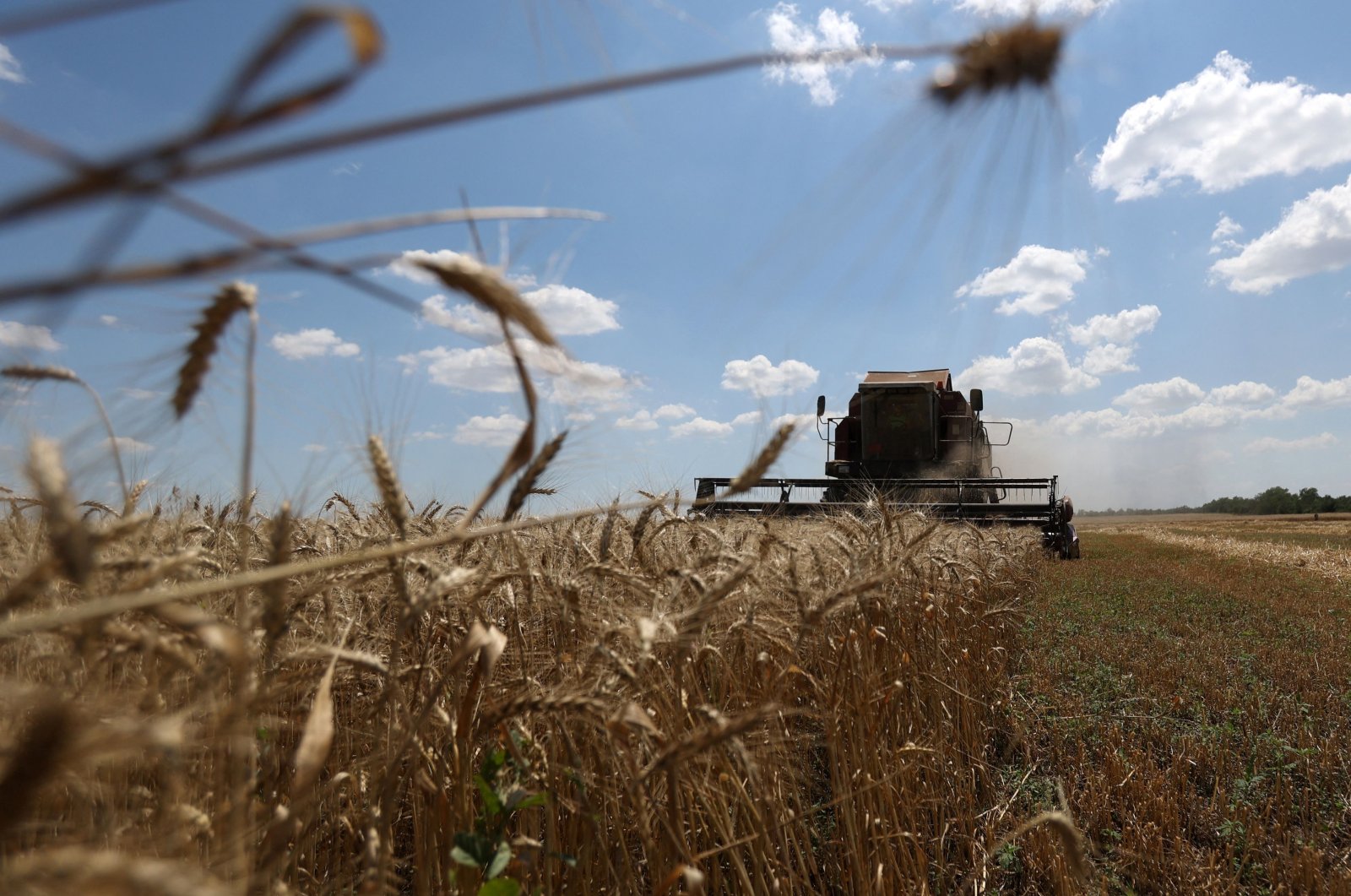 A combine harvesting wheat on a field near Novosofiivka village, Mykolaiv region, Ukraine, July 4, 2023. (AFP Photo)