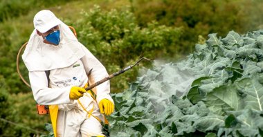 A farmer sprays pesticide in a cabbage field, in Sao Paulo, Brazil, Dec. 18, 2009. (Shutterstock Photo)