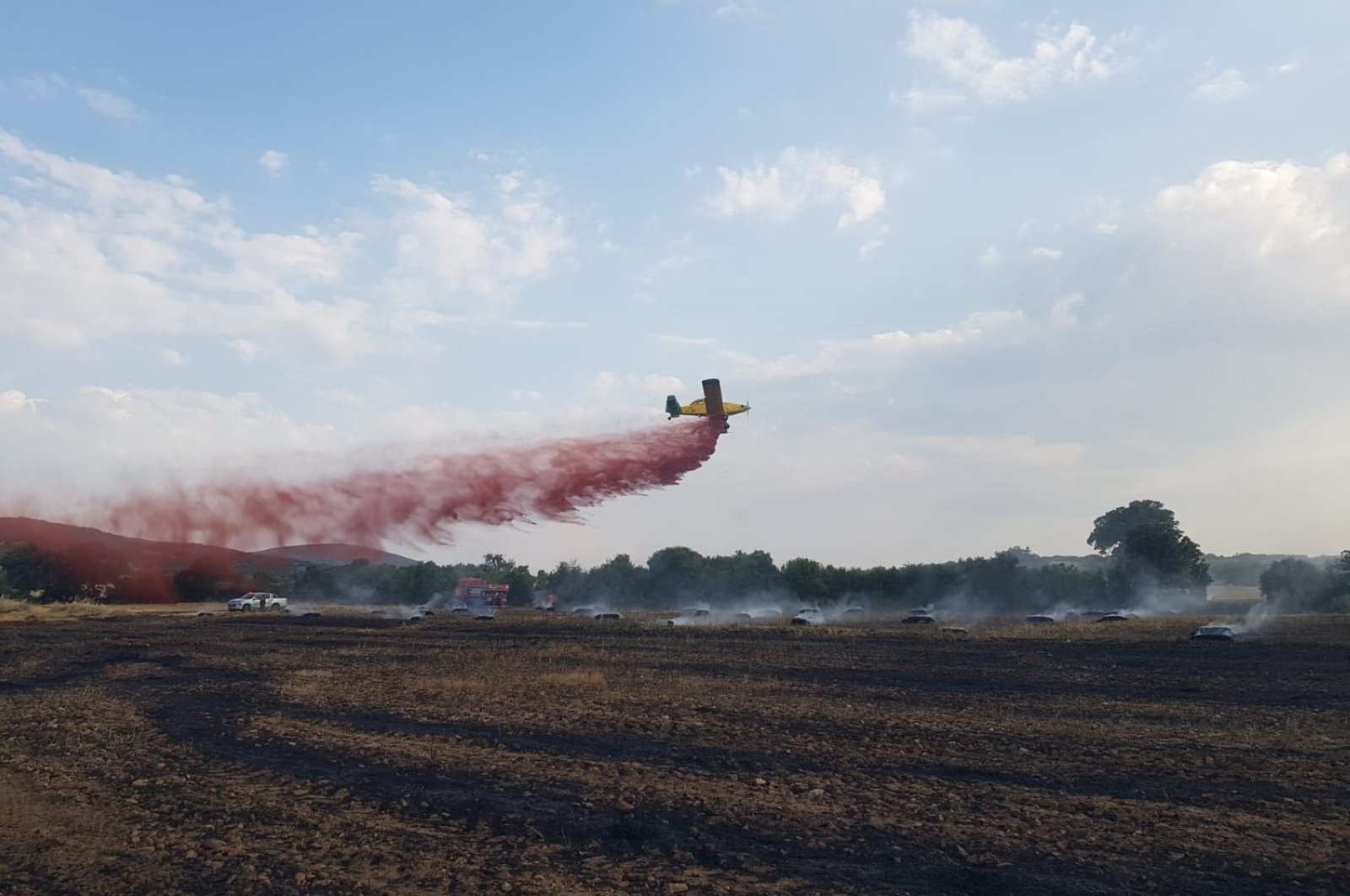 Türkiye mendukung armada pemadam kebakarannya: Presiden Erdoğan