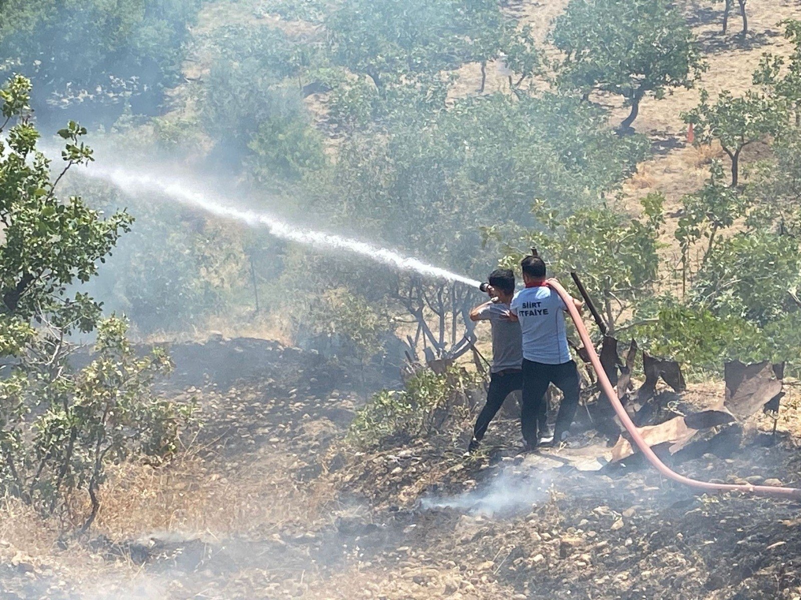 People are seen extinguishing the fire ignited in hazelnut forest in Siirt, Türkiye, July 6, 2023. (DHA Photo)