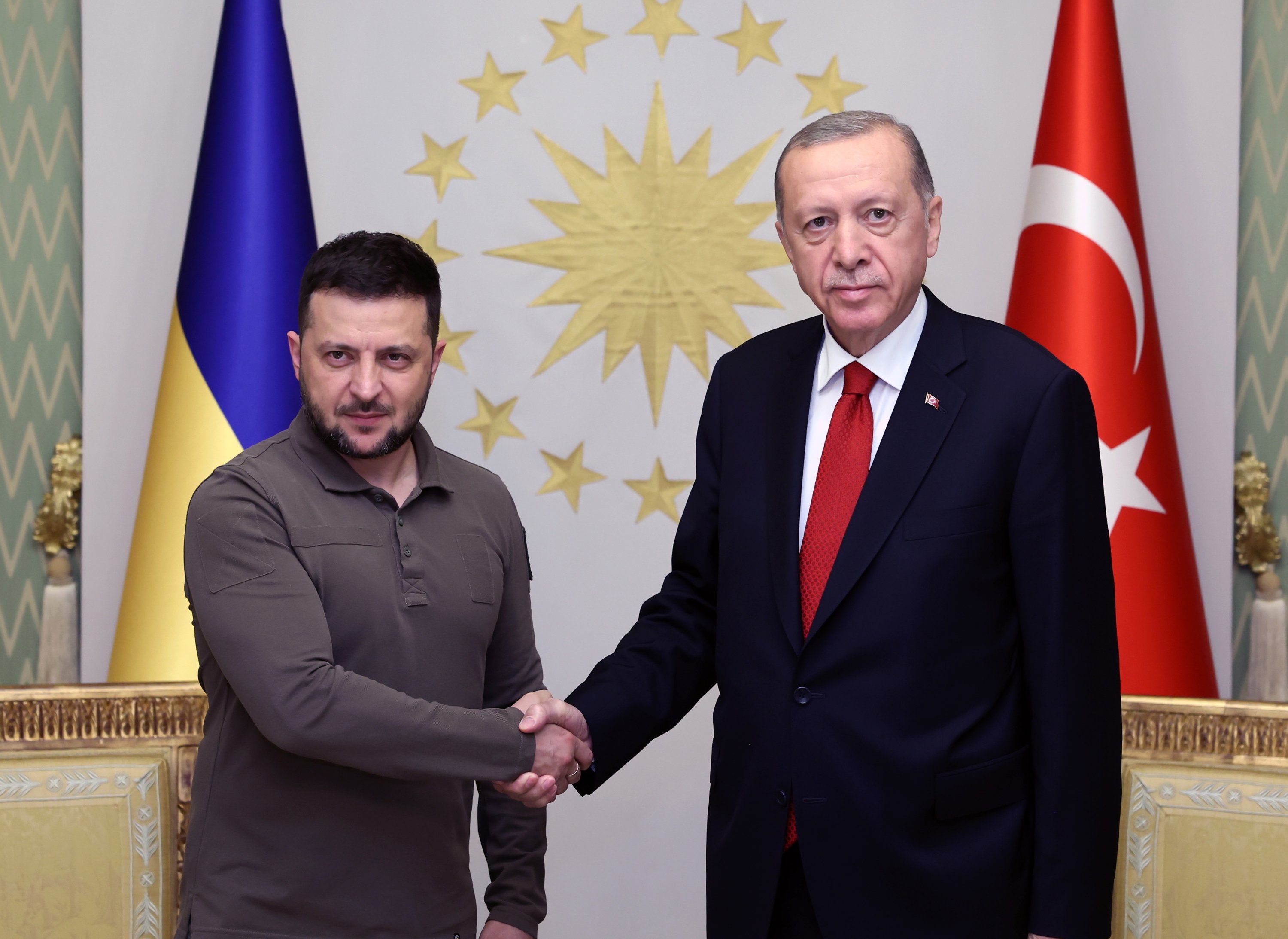 Ukraine deserves NATO membership: Erdoğan in meeting with Zelenskyy 