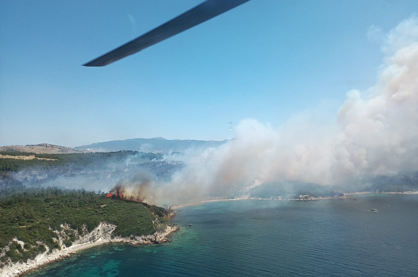 Kebakaran hutan mendorong evakuasi melalui laut di Izmir Türkiye