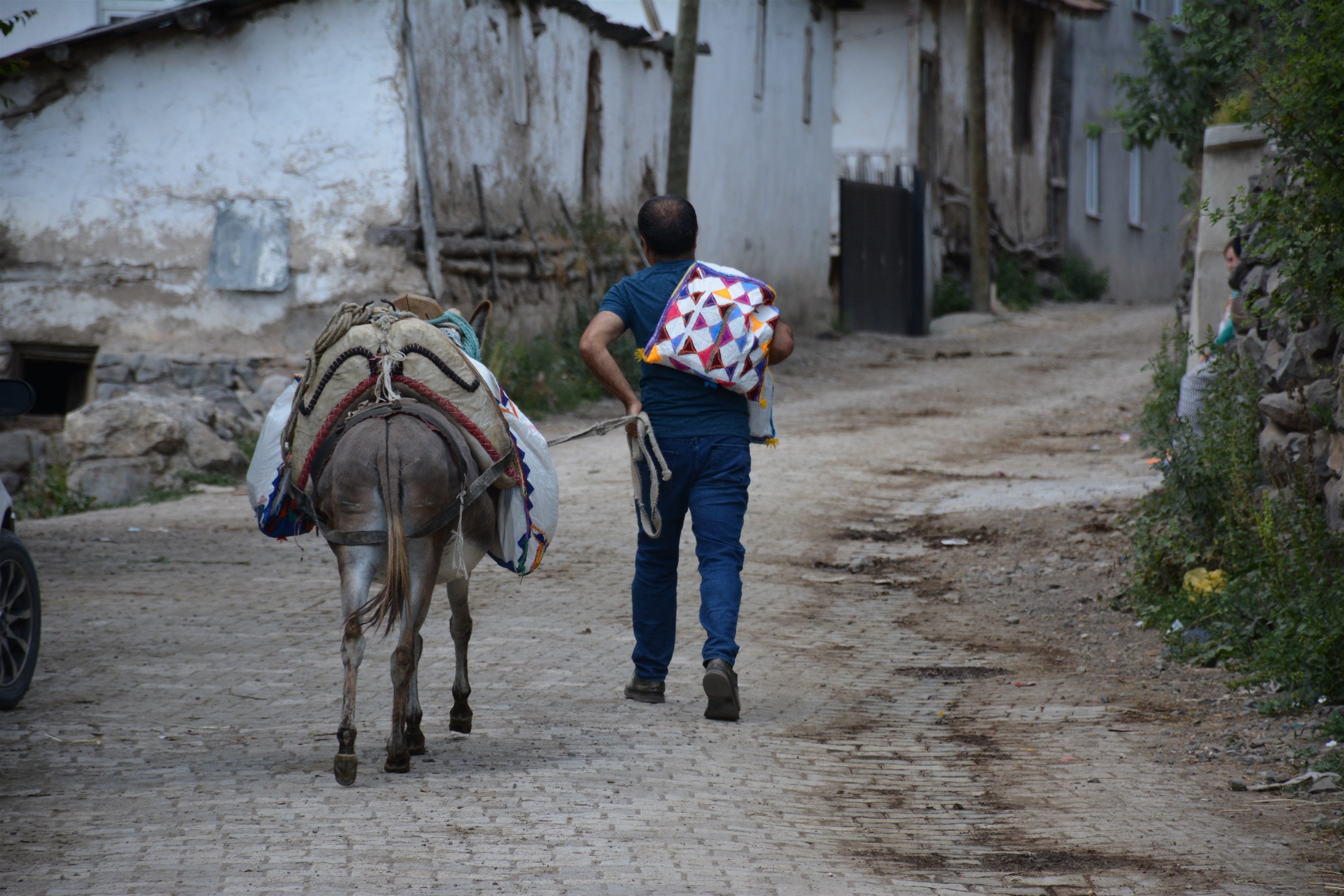Metin Uğur dengan tas berisi buku dan keledainya di Karacaören, Tokat, Türkiye, 11 Juli 2023. (Foto DHA)