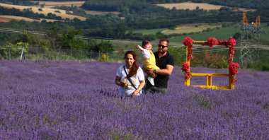 A family is enjoying the captivating atmosphere of a lavender field in Tekirdağ, Türkiye, July 11, 2023. (AA Photo)