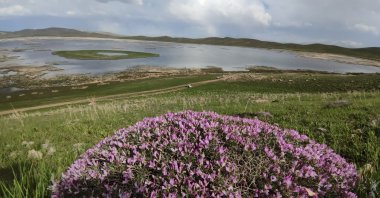 The 2,800-year-old Lake Turna faces intense drought, Van, Türkiye, July 12, 2023. (IHA Photo)