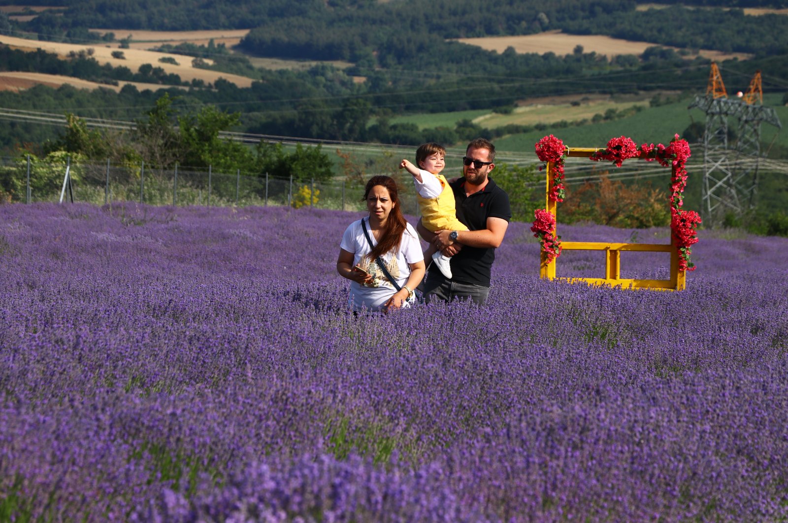 Ladang lavender yang indah menarik lebih dari 1 juta pengunjung ke Tekirdağ Türkiye