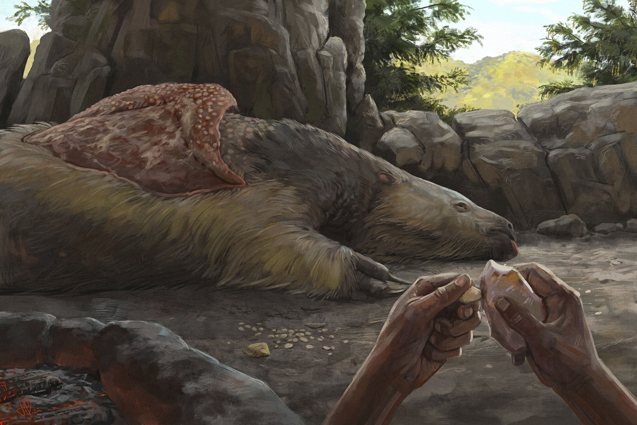 Sebuah ilustrasi menggambarkan seseorang mengukir osteoderm dari kungkang raksasa di Brasil sekitar 25.000 hingga 27.000 tahun yang lalu.  (Foto AP)